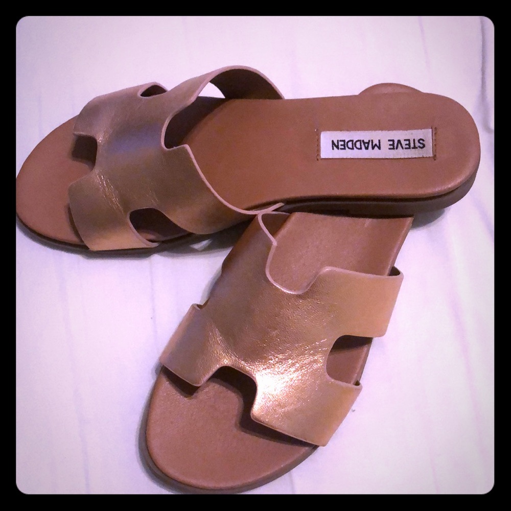 Steve Madden Daphne